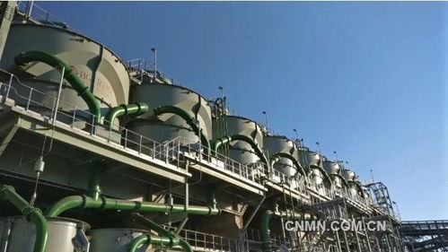 深化六個引領，建設一帶一路精品工程——礦冶集團南非PMC浮選廠總承包項目建設紀實